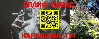 spice Малоярославец