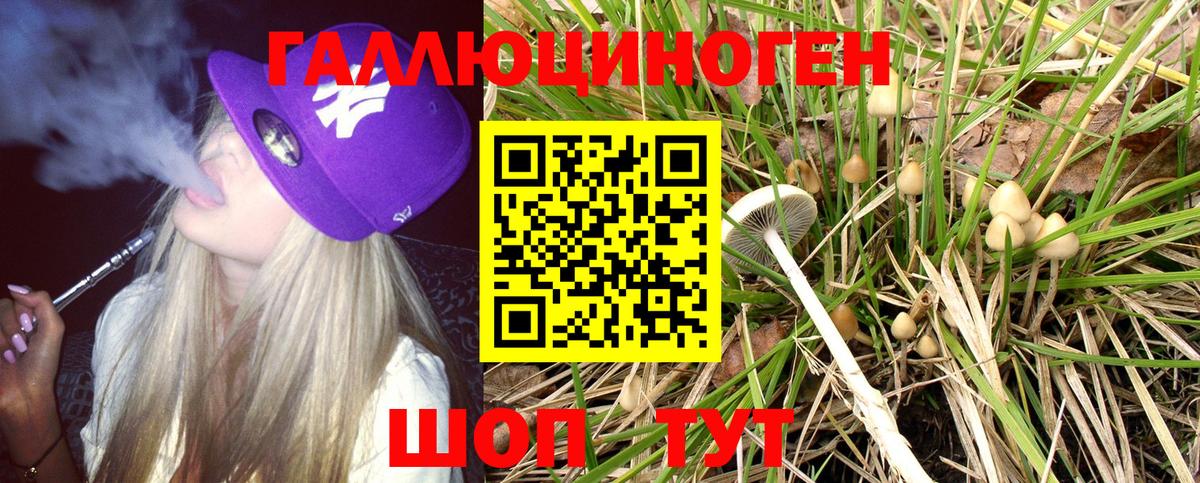 Салават  Галлюциногенные грибы Psilocybine cubensis  Вход с VPN 